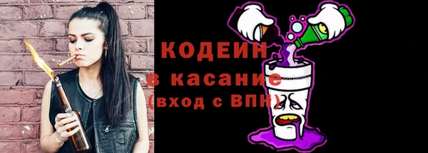 шишки Беломорск
