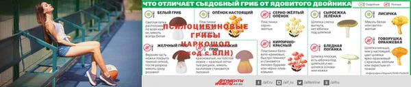 стаф Белокуриха