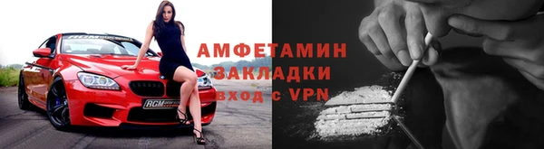 шишки Беломорск