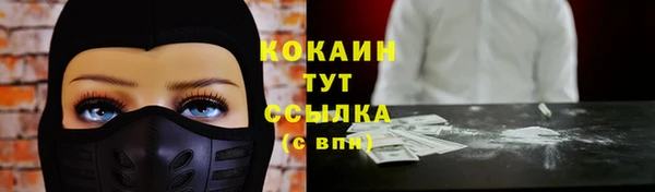 стаф Белокуриха