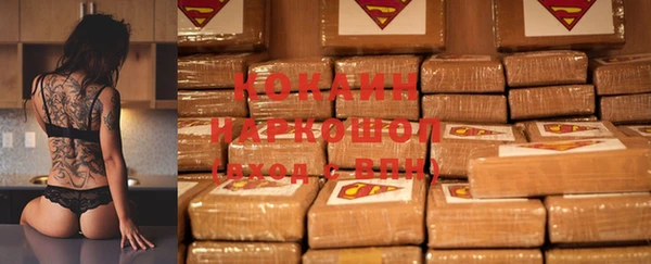 шишки Беломорск