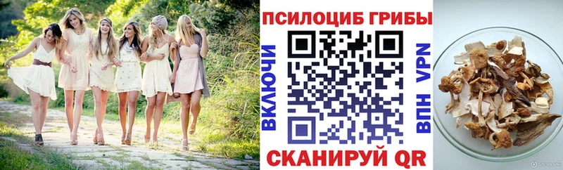 Галлюциногенные грибы Magic Shrooms  как найти   hydra зеркало  Каспийск 